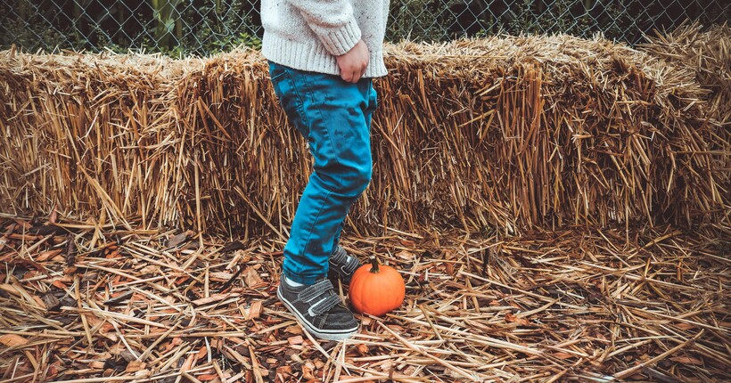 Як зберігати сіно взимку, щоб воно не гнило: типові помилки