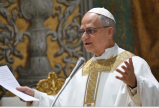 Папа Римський Лев XIV закликав не допустити Третьої світової війни під час візиту до Туреччини