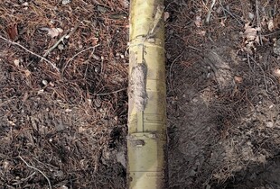 Сапери ДСНС знешкодили ракету на Київщині: протитанковий засіб виявив місцевий чоловік 
