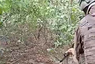 Росіяни розстріляли українського полоненого в Покровському районі 