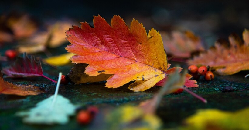 Погода 30 листопада: чого чекати від останнього дня осені