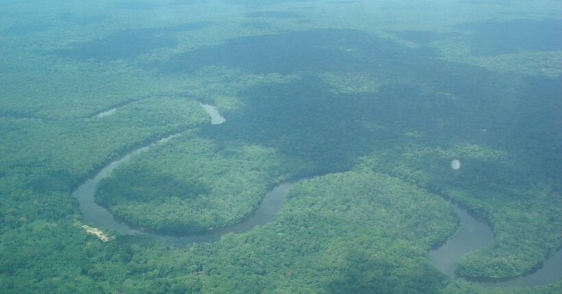 Ліси Африки тепер викидають більше CO2, ніж поглинають - дослідження