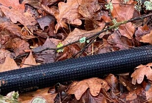 У лісі Оболонського району столиці виявили уламки дрона з вибухівкою: територію перекрили