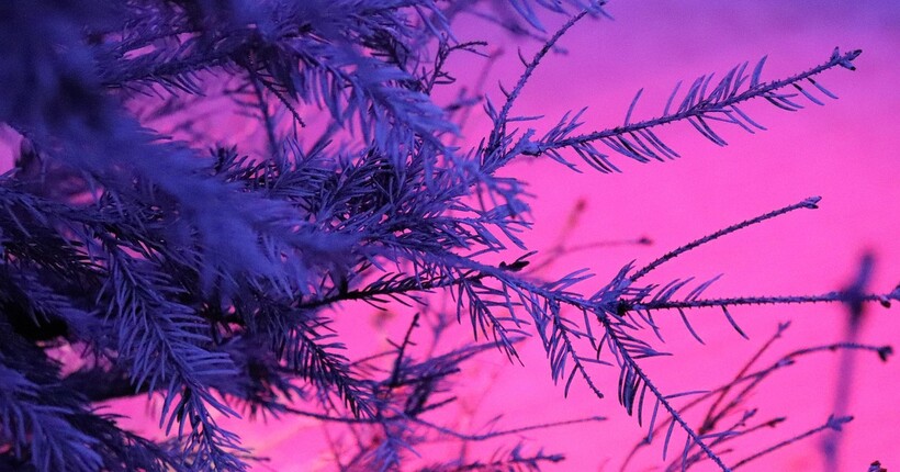 Прогноз погоди на 1 грудня: чи буде сніг у перший день зими