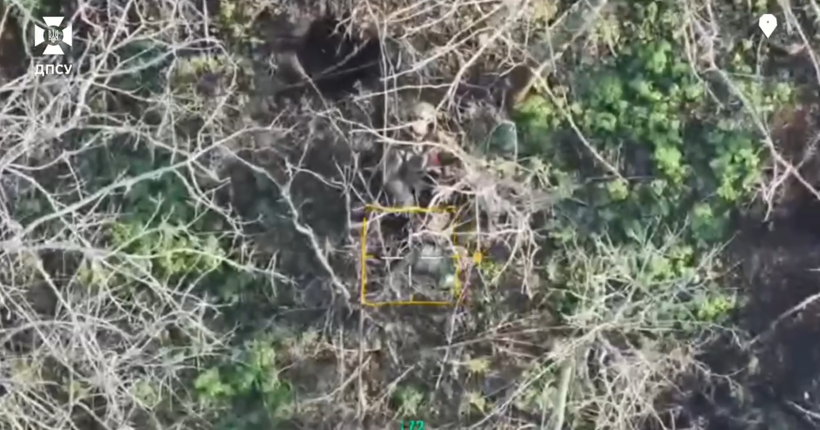 Прикордонники 