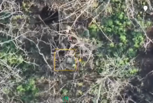 Прикордонники 