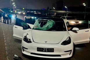 У Києві п'яний водій на Tesla збив на смерть 13-річну дівчинку на пішохідному переході
