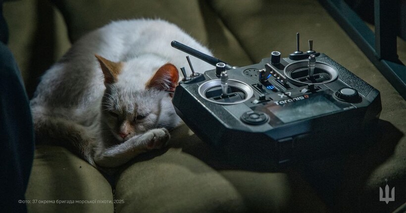 Протягом минулої доби зафіксовано 226 бойових зіткнень - Генштаб ЗСУ