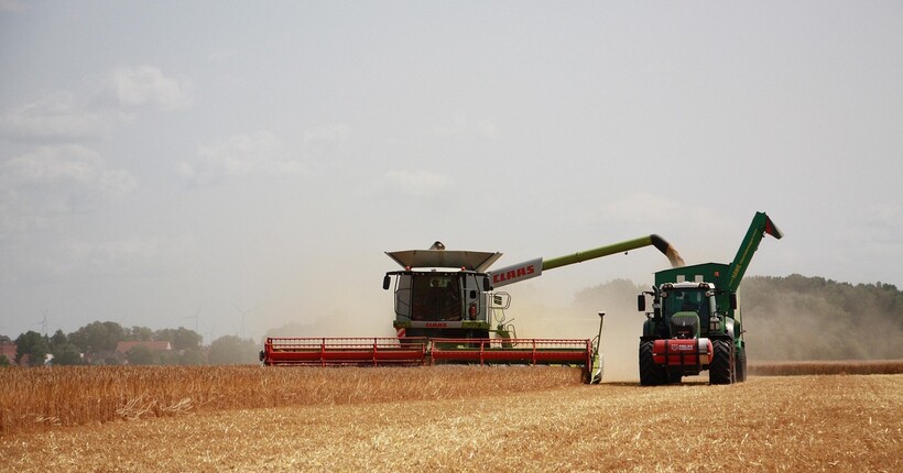 Правоохоронці викрили тіньову схему експорту зерна: завданно збитків на 114 млн грн