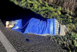 У Чернігівській області патрульні затримали водія, який збив пішохода та втік з місця ДТП