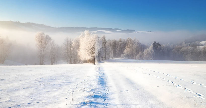 Стартували перші виплати 6500 грн - Свириденко розповіла про 