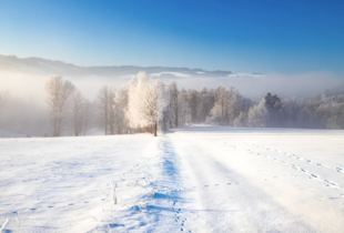 Стартували перші виплати 6500 грн - Свириденко розповіла про 