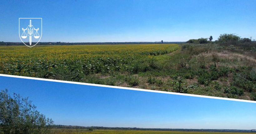 Верховний Суд повернув громаді Миколаївщини понад 150 га незаконно осушених ставків