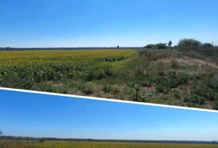 Верховний Суд повернув громаді Миколаївщини понад 150 га незаконно осушених ставків