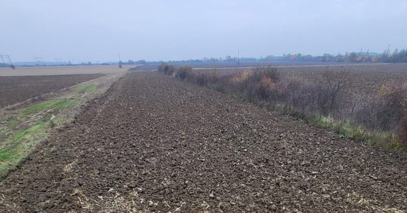 На Закарпатті судитимуть посадовиць НААН за розкрадання 300 тонн зерна на 1,9 млн грн