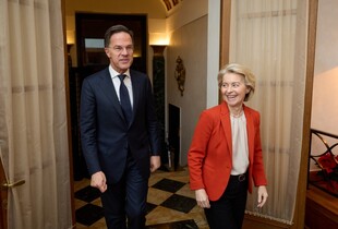 Безпека України має бути забезпечена, як перша лінія оборони ЄС - фон дер Ляєн