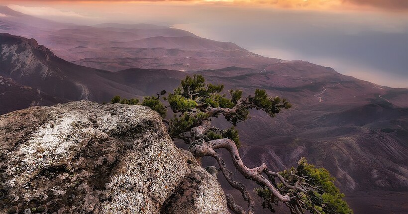Ми не маємо сил повернути Крим зараз, але позиція України незмінна - Зеленський