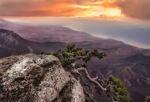 Ми не маємо сил повернути Крим зараз, але позиція України незмінна - Зеленський