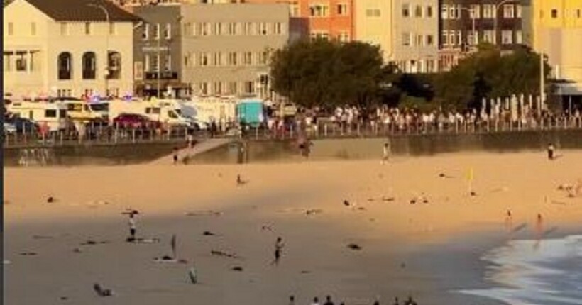 Теракт на пляжі в Сіднеї: щонайменше 12 людей загинули внаслідок стрілянини