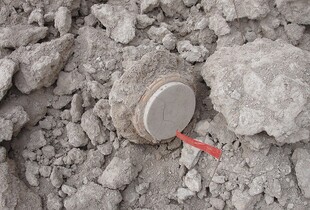 Польща відновить випуск протипіхотних мін для захисту кордону з Калінінградом