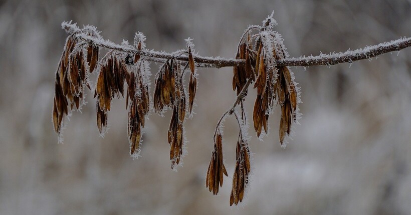 Якою буде погода 19 грудня: прогноз від синоптики ні Діденко