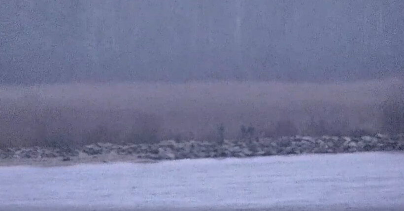 Естонія може закрити кордон з рф після перетину російських прикордонників