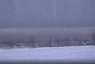 Естонія може закрити кордон з рф після перетину російських прикордонників