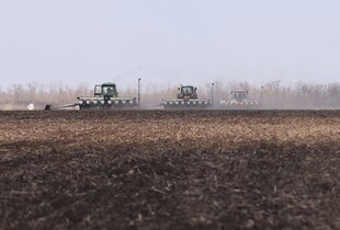 Бюджет для агросектору у 2026 році орієнтований на виживання, а не розвиток – Марчук