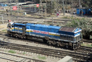 В Індії пасажирський поїзд врізався у стадо слонів: є загиблі тварини