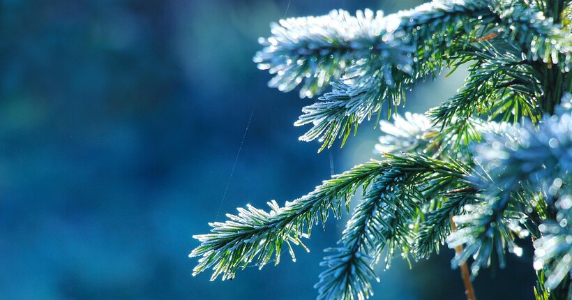 Коли українцям чекати морозів: прогноз погоди від синоптикині Діденко