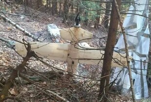 В Румунії в лісі знайшли невідомий дрон
