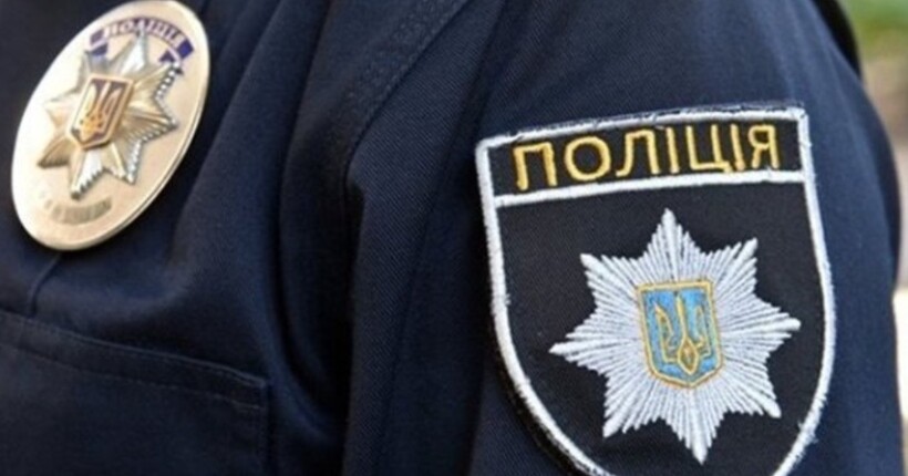 Загибель кошенят у 