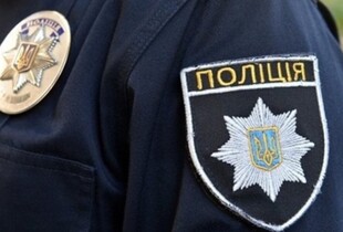 Загибель кошенят у 