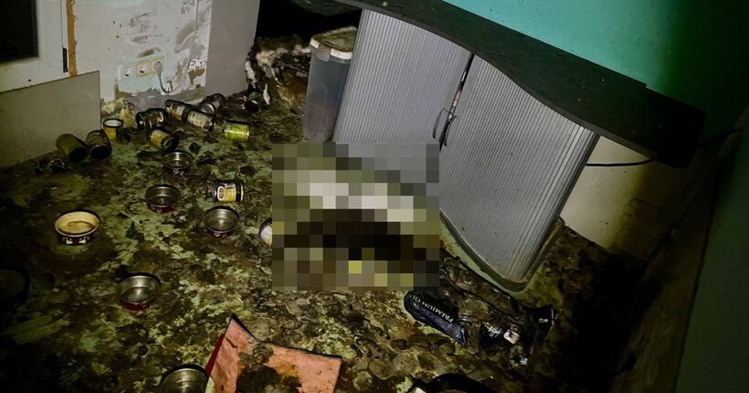 Загибель понад 50 котів на Київщині: жінці оголосили підозру у жорстокому поводженні з тваринами