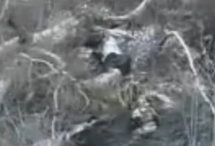 На Харківщині прикордонники зупинили прорив російських військ через річку Лозова