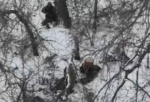 Окупанти розстріляли двох українських військовополонених на Донеччині