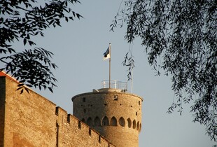 Естонська розвідка оцінила загрозу прямого нападу рф на Балтію