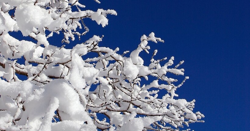 Погода на Новий рік: Діденко дала прогноз на 31 грудня та 1-2 січня