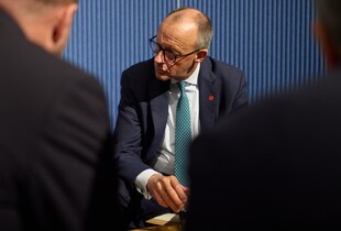 Зеленський обговорив із Мерцом зустріч з Трампом і свіжий фейк про резиденцію Путіна