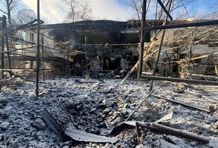 Росіяни КАБом атакували екопарк у передмісті Харкова: поранена жінка, загибли тварини (фото)