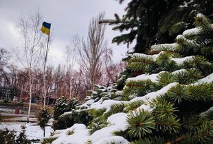 Дрони атакували Дніпропетровщину: є поранені, пошкоджено будинки, ліцей і авто