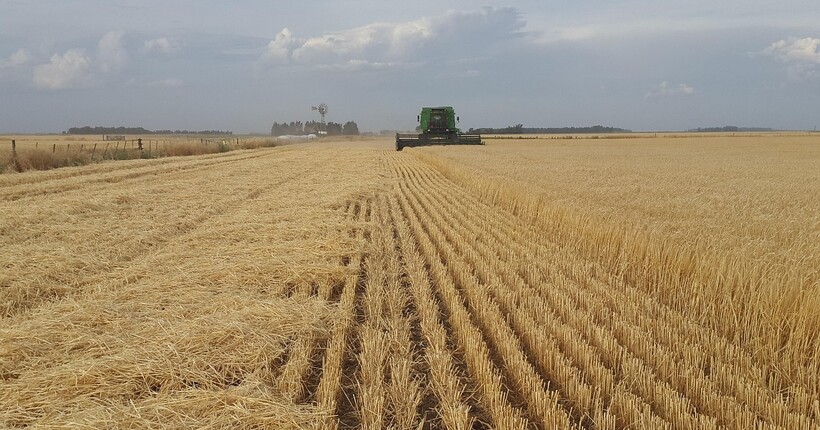 Агробізнесу підвищили вимоги для статусу критично важливого