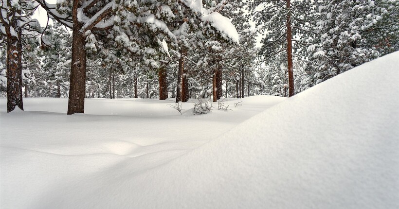 Прогноз погоди на 12 січня: де вдарить до -24 градусів морозу