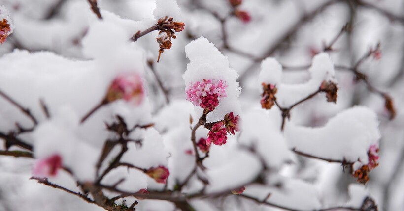 Морози не відступають: якою буде погода 13 січня