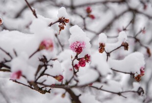 Морози не відступають: якою буде погода 13 січня