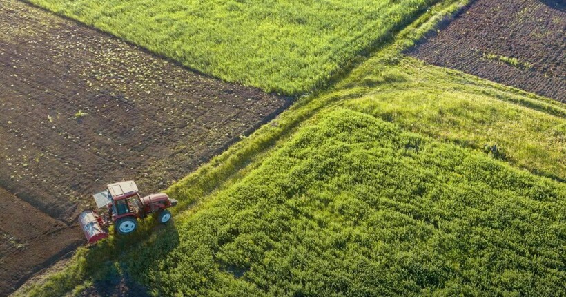 Окупаційна влада захоплює агросектор Херсонщини через корупційну схему