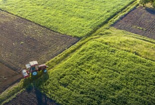 Окупаційна влада захоплює агросектор Херсонщини через корупційну схему