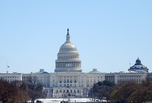 У США подали законопроєкт, який забороняє анексію територій країн НАТО