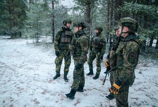 Швеція взяла участь у військових навчаннях поблизу Гренландії