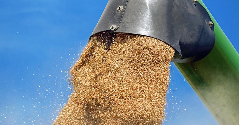Крадіжка росією зерна з ТОТ: Сибіга звернувся до Європи